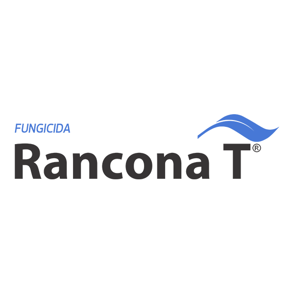 Rancona T - 1